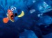 Finding-Nemo-4_800X600.jpg